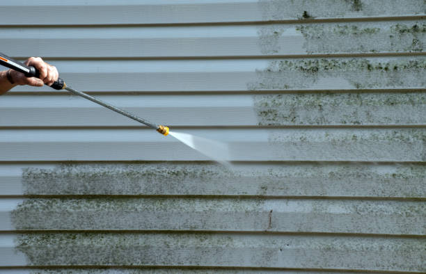 Best Mold Damage Repair  in East Wenatchee, WA
