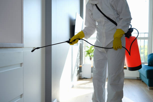 Best Residential Mold Removal  in East Wenatchee, WA