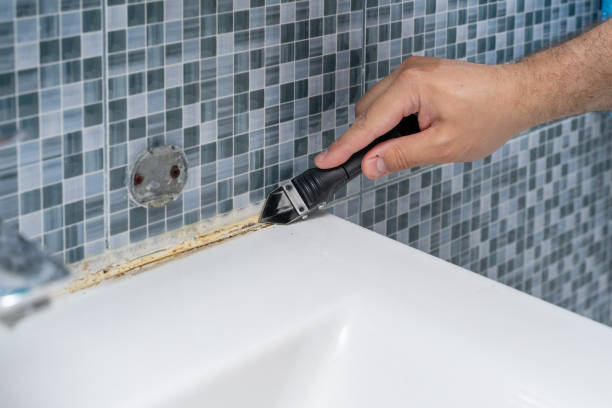 Best Home Mold Removal  in East Wenatchee, WA