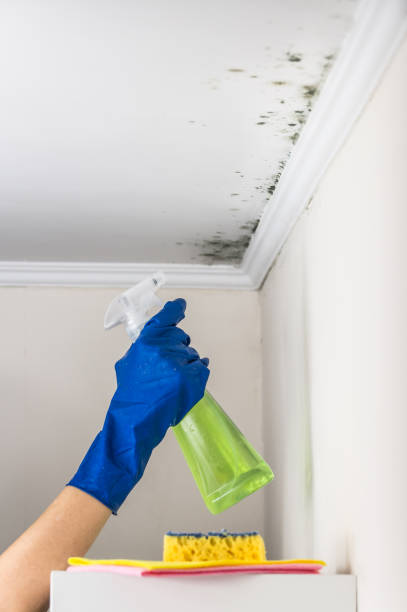 Best Water Damage Restoration  in East Wenatchee, WA